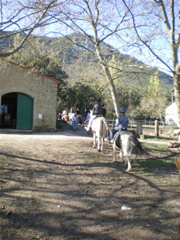 Classes de découvertes - Nouveau partenariat