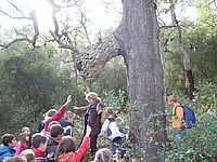 Environnement : une mission de service civique