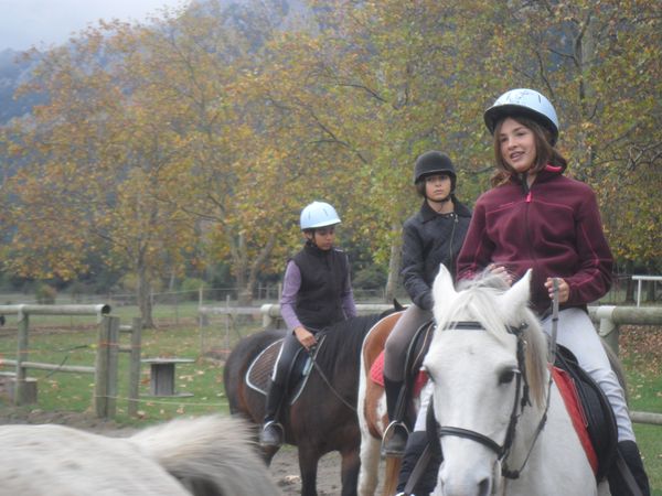 Vacances d'Automne Séjour jeunes "à Cheval"  à Castel Fizel du 29/10/2011 au 02/11/2011