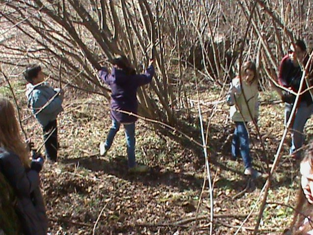 Les classes de découvertes au printemps!!