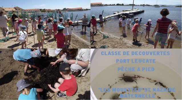 Les Petits Pêcheurs de Port-Leucate 