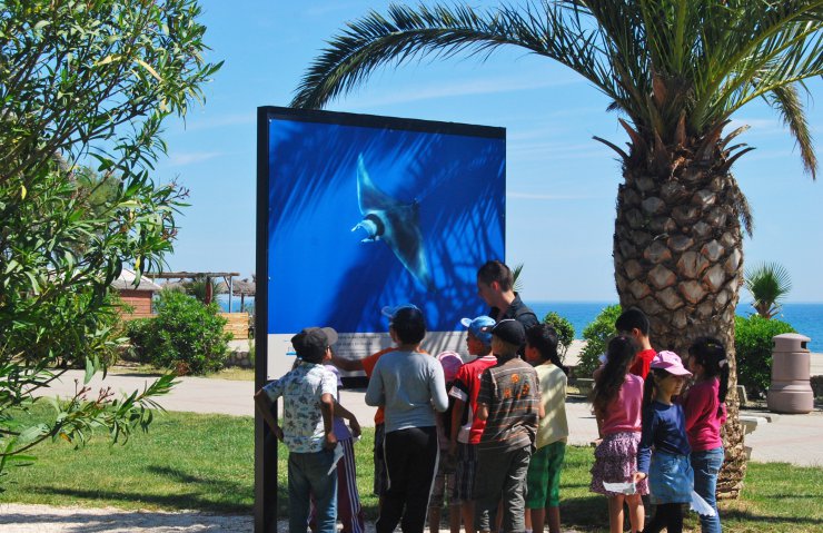 Les accueils de loisirs défendent l'environnement