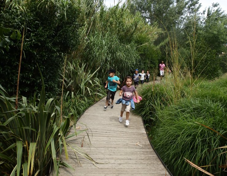 A la recherche des animaux perdus