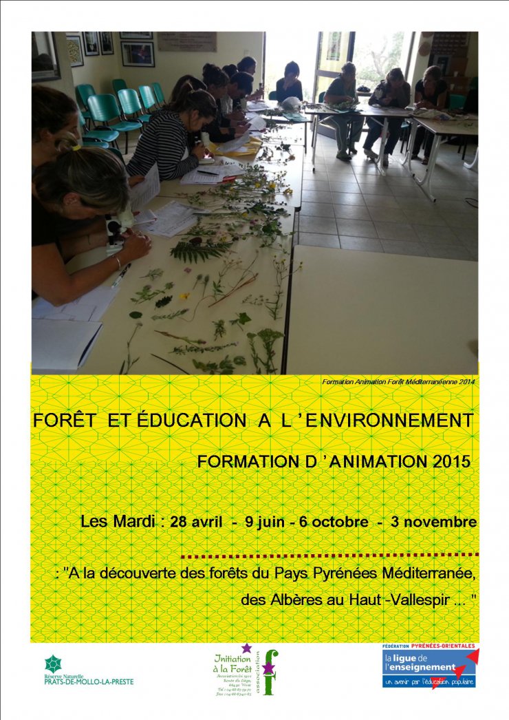 FORÊT ET ÉDUCATION A L'ENVIRONNEMENT "IF" Formation d'animation 2015