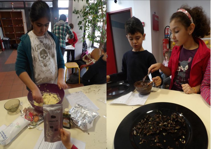 Des insectes au goûter!