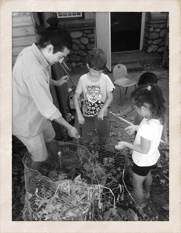 Un jardin de ville à Romain Rolland