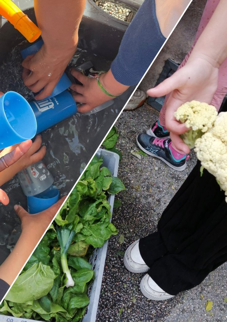 Les enfants éco-l'eau des Platanes