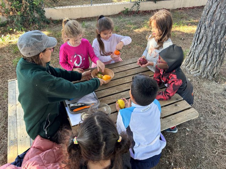 Ca pousse à Coubertin !