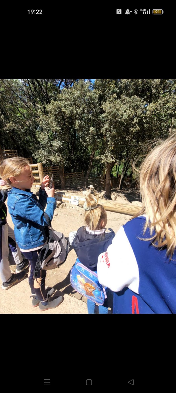 Découverte des reptiles et leur environnement pour le CLAS d'Elne